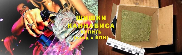 стаф Вязьма