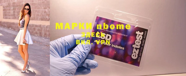 стаф Вязьма