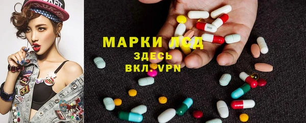 стаф Вязьма