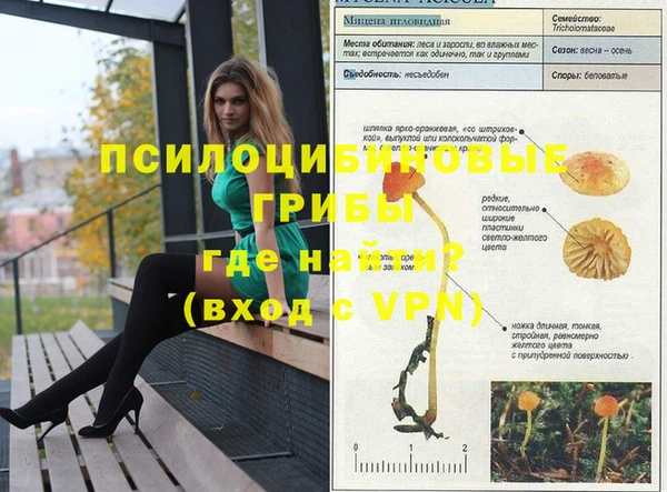 бошки Волоколамск
